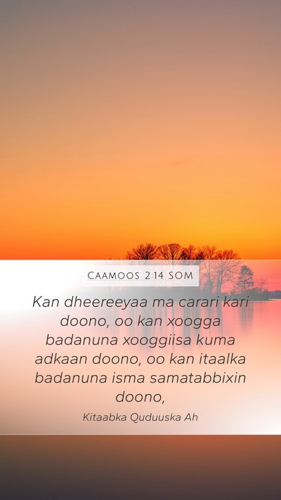 Caamoos 2:14 SOM Bible Verse Image
