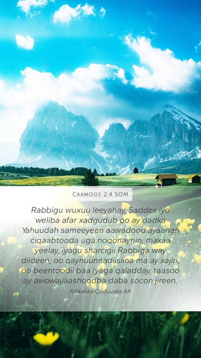Caamoos 2:4 SOM Bible Verse Image