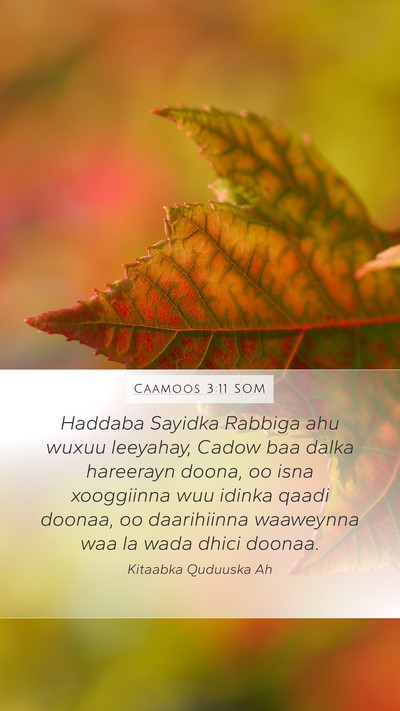 Caamoos 3:11 SOM Mobile Phone Wallpaper - Haddaba Sayidka Rabbiga ahu wuxuu leeyahay, Cadow - Mobile Bible Verse Wallpaper