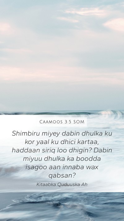 Caamoos 3:5 SOM Bible Verse Image
