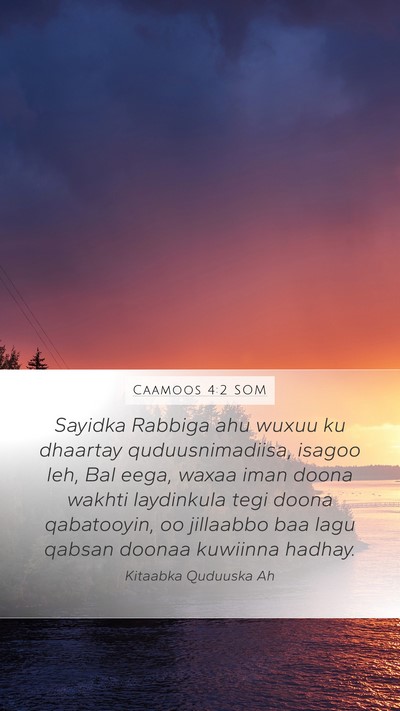 Caamoos 4:2 SOM Bible Verse Image
