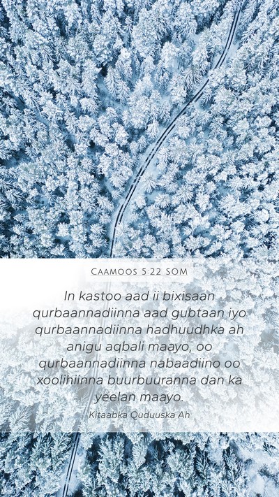 Caamoos 5:22 SOM Bible Verse Image