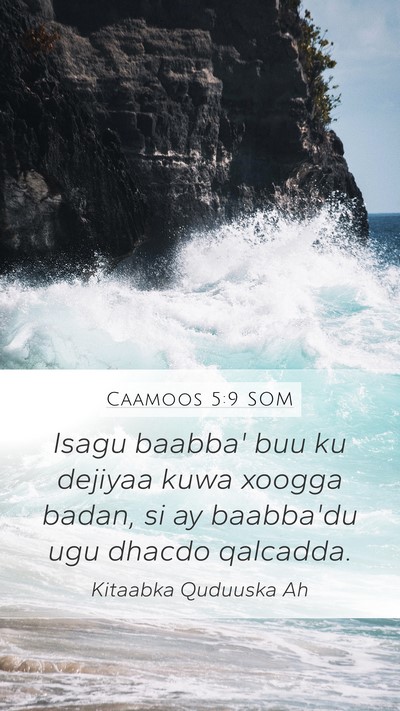 Caamoos 5:9 SOM Bible Verse Image