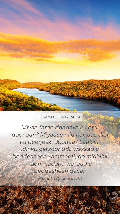Caamoos 6:12 SOM Bible Verse Image