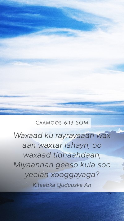 Caamoos 6:13 SOM Bible Verse Image