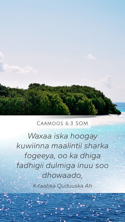 Caamoos 6:3 SOM Bible Verse Image