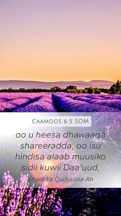 Caamoos 6:5 SOM Bible Verse Image
