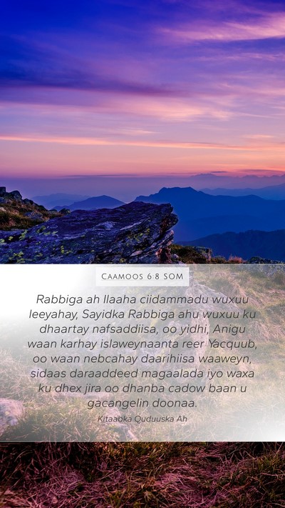 Caamoos 6:8 SOM Bible Verse Image