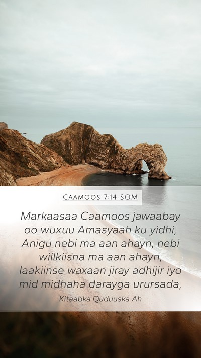 Caamoos 7:14 SOM Bible Verse Image