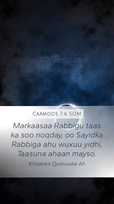 Caamoos 7:6 SOM Bible Verse Image