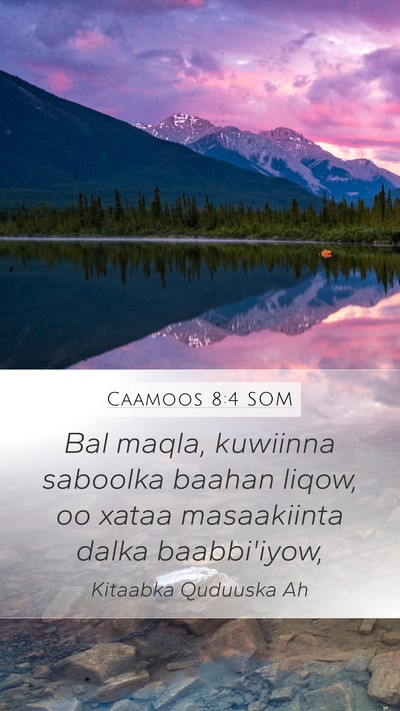 Caamoos 8:4 SOM Bible Verse Image