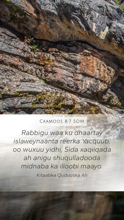Caamoos 8:7 SOM Bible Verse Image