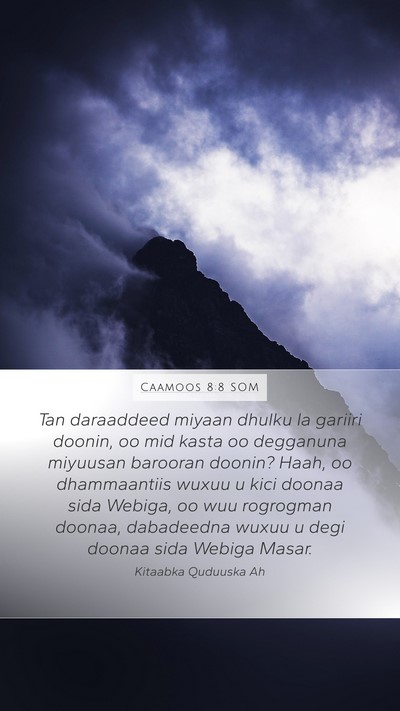Caamoos 8:8 SOM Bible Verse Image