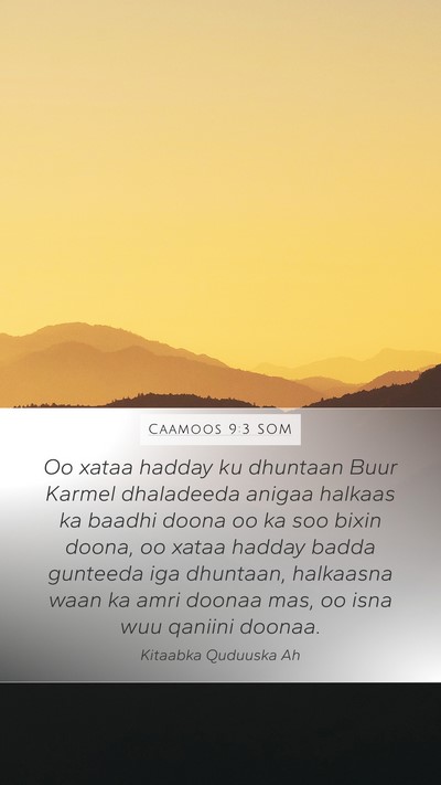 Caamoos 9:3 SOM Bible Verse Image