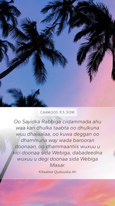 Caamoos 9:5 SOM Bible Verse Image