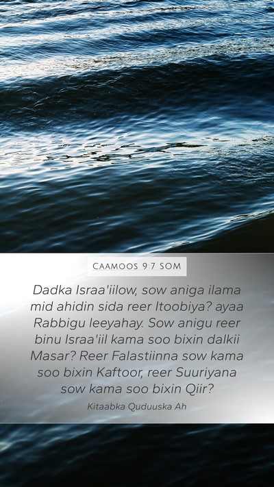 Caamoos 9:7 SOM Bible Verse Image