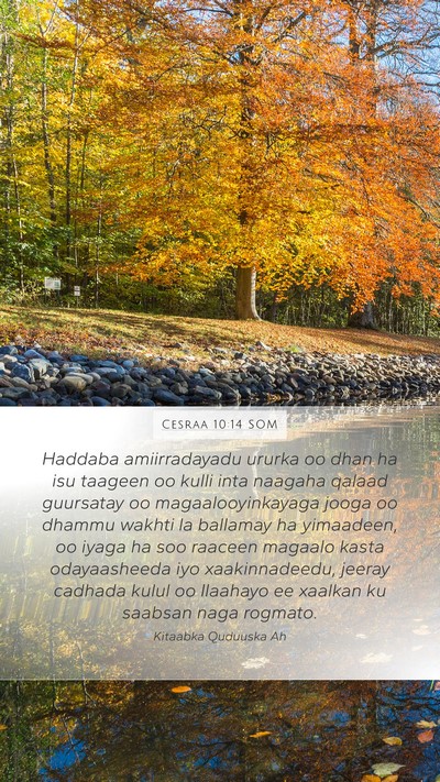 Cesraa 10:14 SOM Bible Verse Image