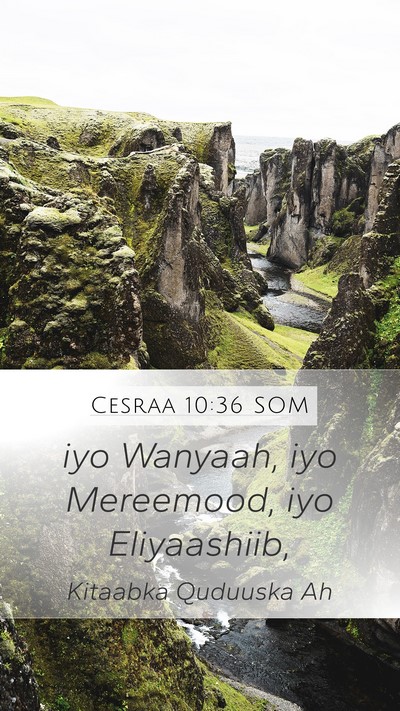 Cesraa 10:36 SOM Mobile Phone Wallpaper - iyo Wanyaah, iyo Mereemood, iyo - Mobile Bible Verse Wallpaper