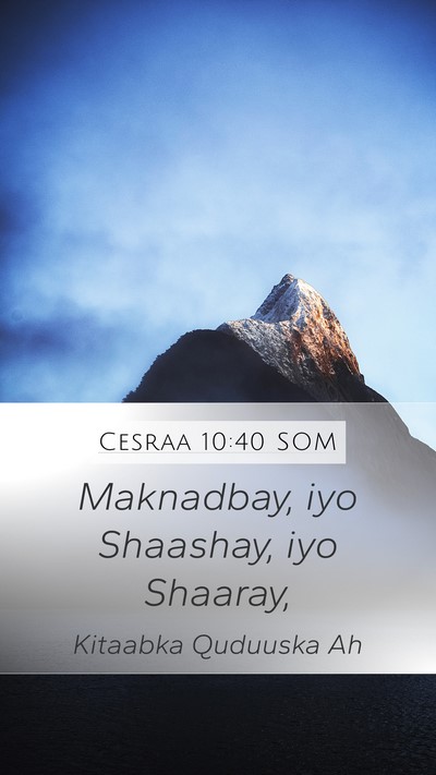 Cesraa 10:40 SOM Mobile Phone Wallpaper - Maknadbay, iyo Shaashay, iyo - Mobile Bible Verse Wallpaper