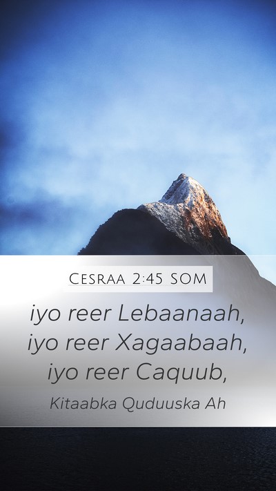 Cesraa 2:45 SOM Bible Verse Image