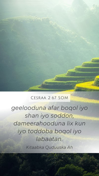 Cesraa 2:67 SOM Mobile Phone Wallpaper - geelooduna afar boqol iyo shan iyo soddon, - Mobile Bible Verse Wallpaper