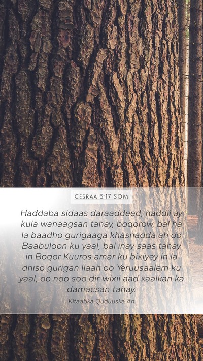 Cesraa 5:17 SOM Bible Verse Image