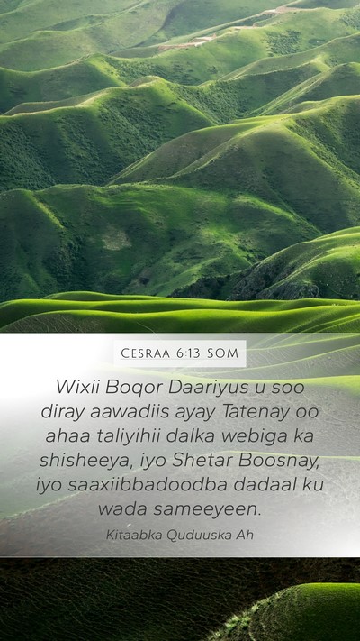 Cesraa 6:13 SOM Bible Verse Image