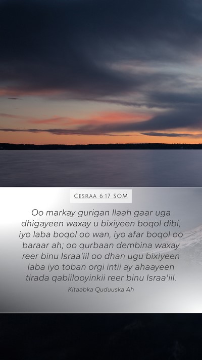 Cesraa 6:17 SOM Bible Verse Image