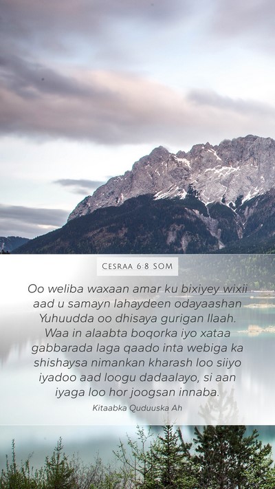 Cesraa 6:8 SOM Bible Verse Image