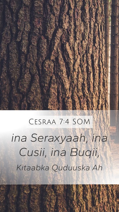 Cesraa 7:4 SOM Mobile Phone Wallpaper - ina Seraxyaah, ina Cusii, ina - Mobile Bible Verse Wallpaper