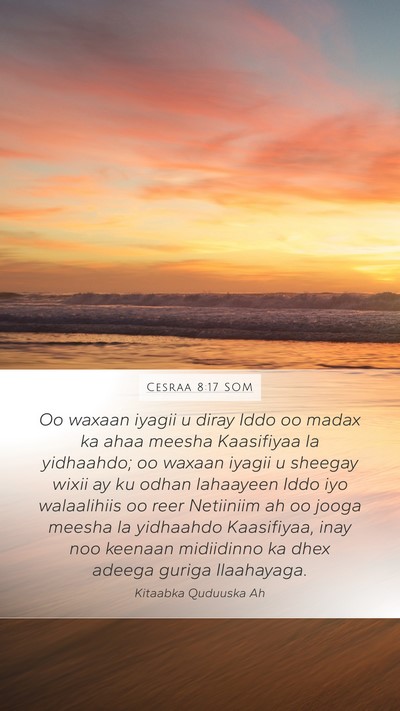 Cesraa 8:17 SOM Mobile Phone Wallpaper - Oo waxaan iyagii u diray Iddo oo madax ka ahaa - Mobile Bible Verse Wallpaper