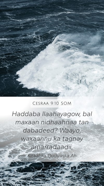 Cesraa 9:10 SOM Bible Verse Image