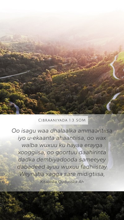 Cibraaniyada 1:3 SOM Bible Verse Image