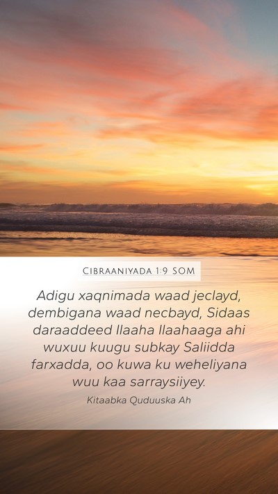Cibraaniyada 1:9 SOM Bible Verse Image