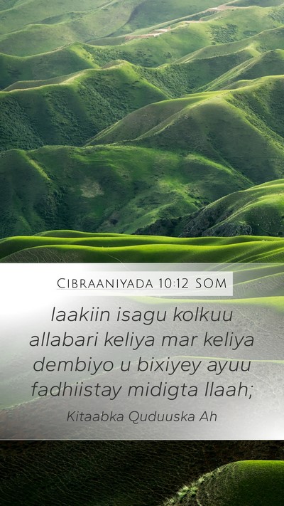 Cibraaniyada 10:12 SOM Bible Verse Image