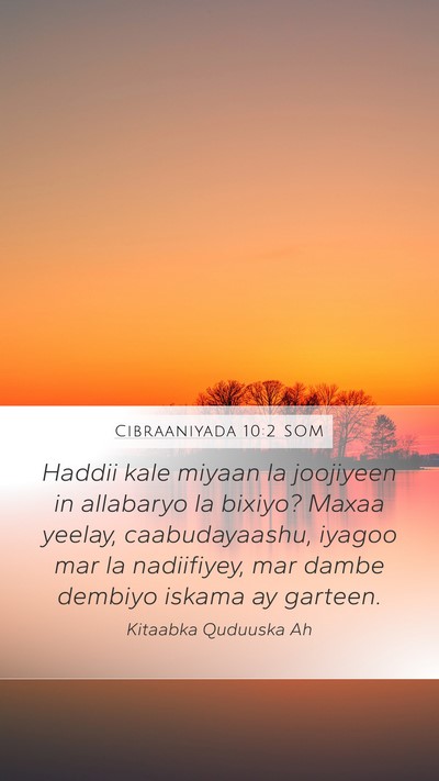 Cibraaniyada 10:2 SOM Bible Verse Image
