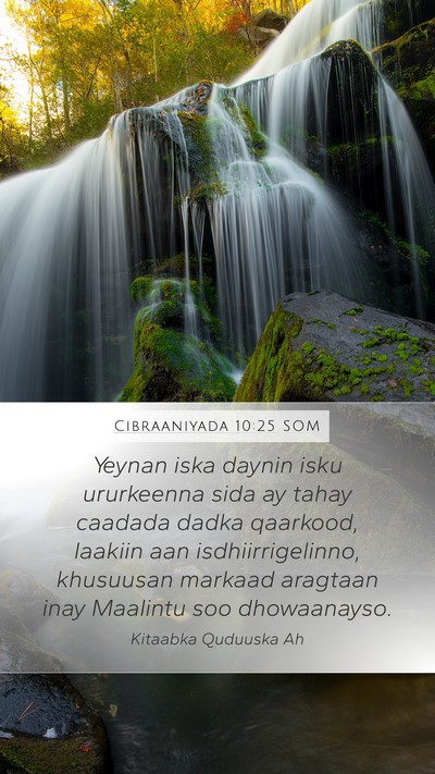 Cibraaniyada 10:25 SOM Bible Verse Image
