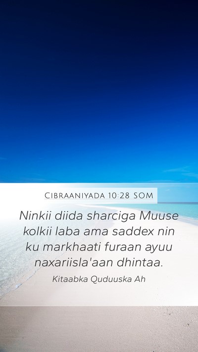 Cibraaniyada 10:28 SOM Bible Verse Image