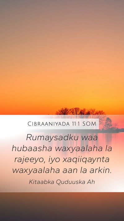 Cibraaniyada 11:1 SOM Bible Verse Image