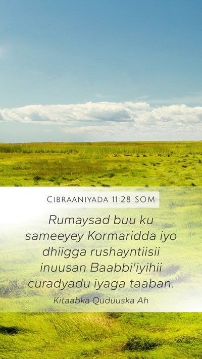 Cibraaniyada 11:28 SOM Bible Verse Image