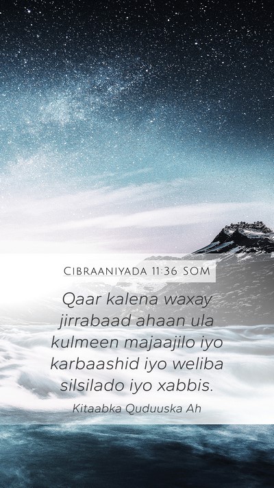 Cibraaniyada 11:36 SOM Bible Verse Image