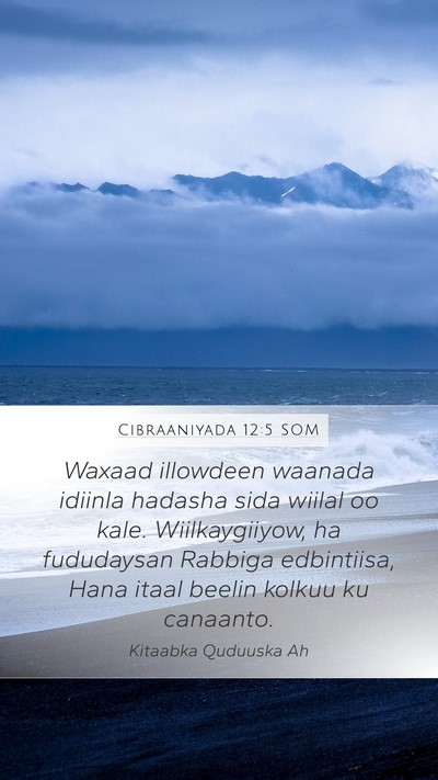 Cibraaniyada 12:5 SOM Bible Verse Image