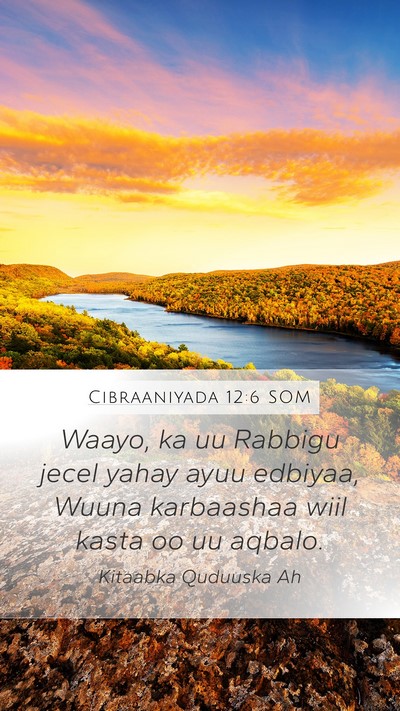 Cibraaniyada 12:6 SOM Bible Verse Image