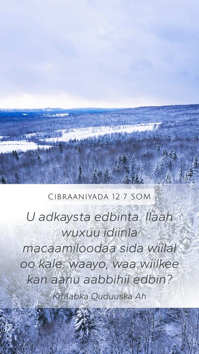 Cibraaniyada 12:7 SOM Bible Verse Image