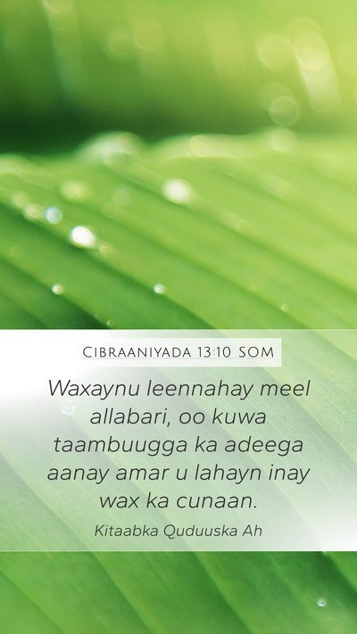 Cibraaniyada 13:10 SOM Bible Verse Image