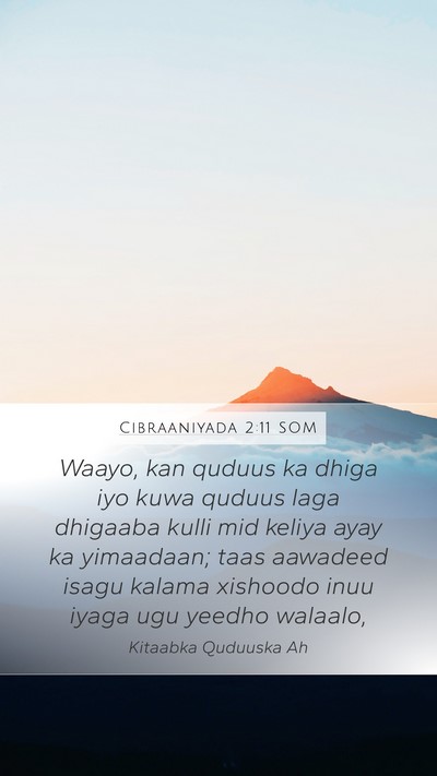 Cibraaniyada 2:11 SOM Bible Verse Image