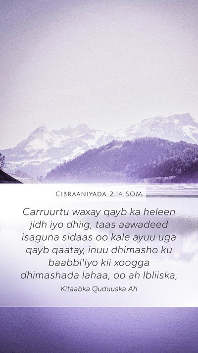 Cibraaniyada 2:14 SOM Bible Verse Image
