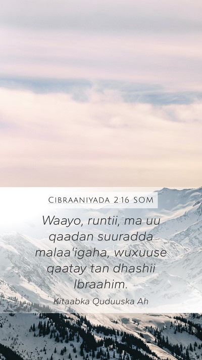 Cibraaniyada 2:16 SOM Bible Verse Image