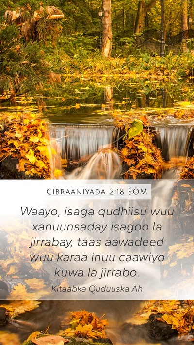 Cibraaniyada 2:18 SOM Bible Verse Image