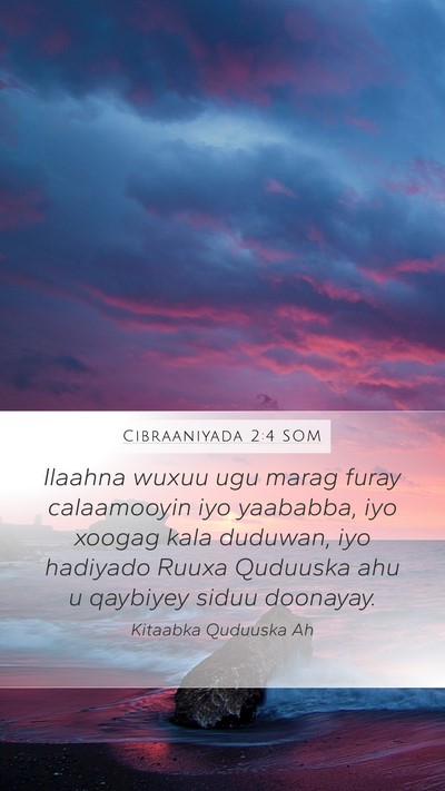 Cibraaniyada 2:4 SOM Bible Verse Image